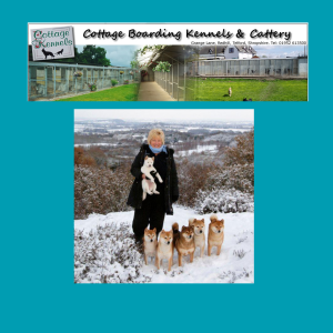 Cottage kennel top and cattery